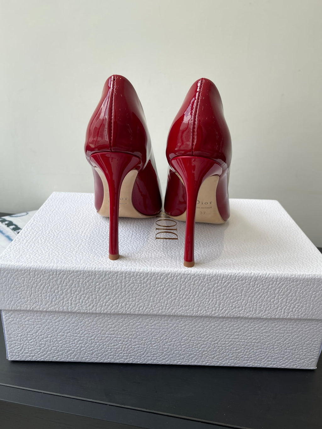 Dior Pointed High-Heel Pumps – 25SS Spring/Summer Collection