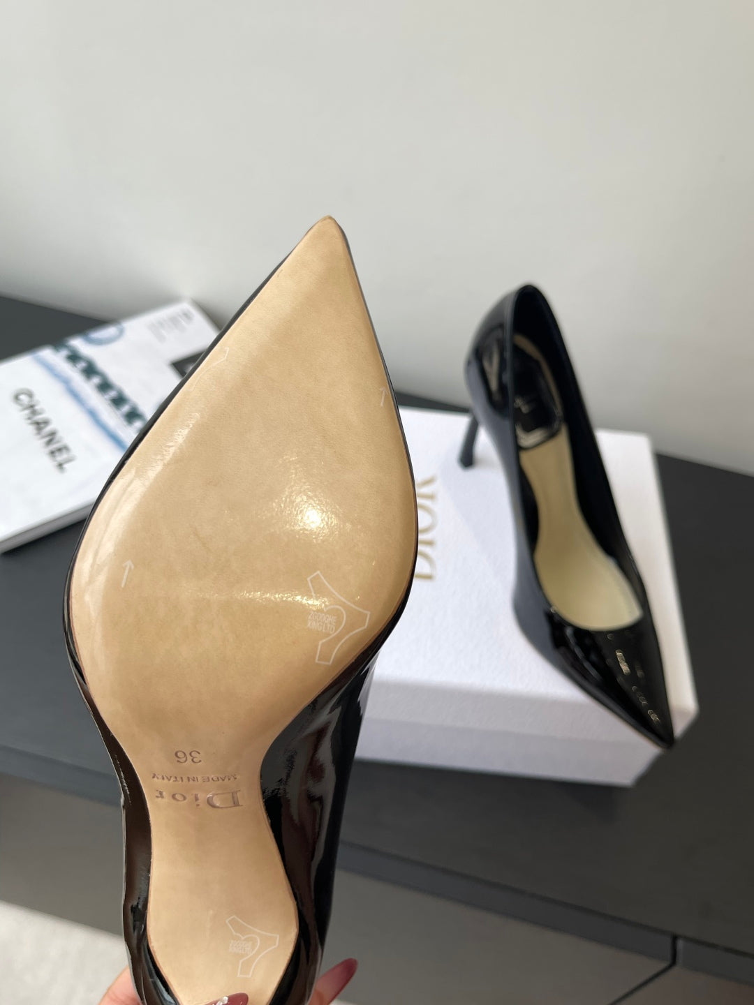 Dior Pointed High-Heel Pumps – 25SS Spring/Summer Collection