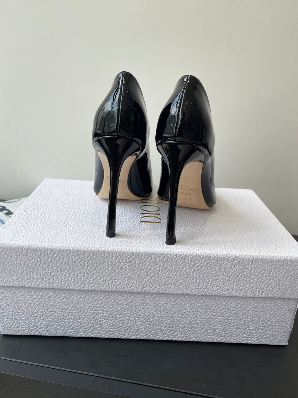 Dior Pointed High-Heel Pumps – 25SS Spring/Summer Collection