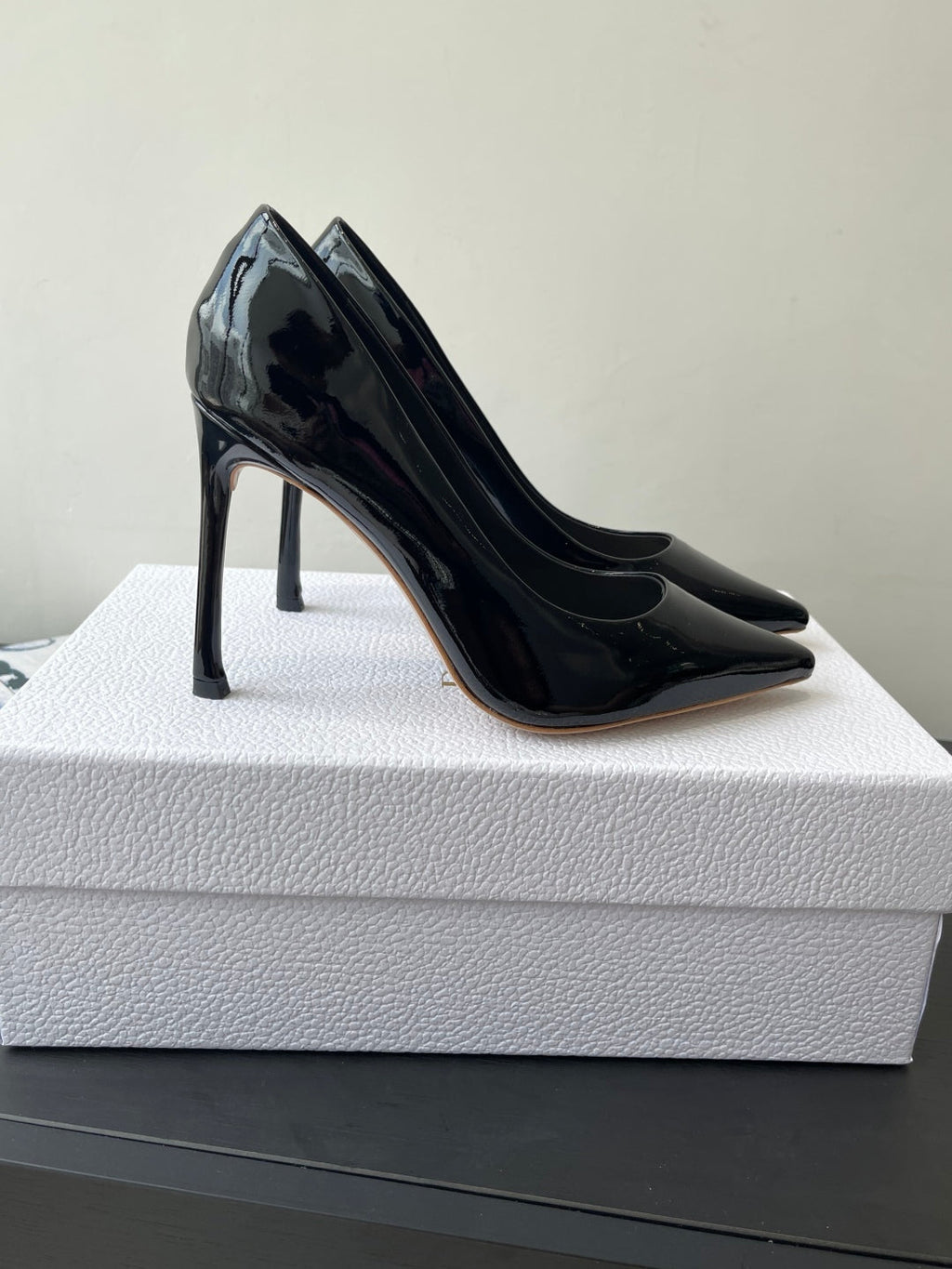 Dior Pointed High-Heel Pumps – 25SS Spring/Summer Collection