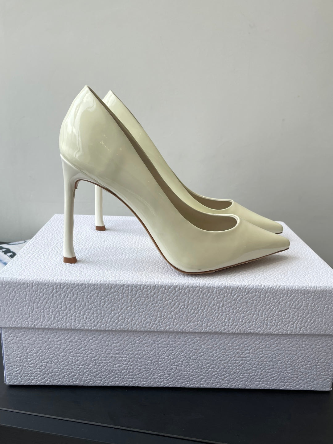 Dior Pointed High-Heel Pumps – 25SS Spring/Summer Collection