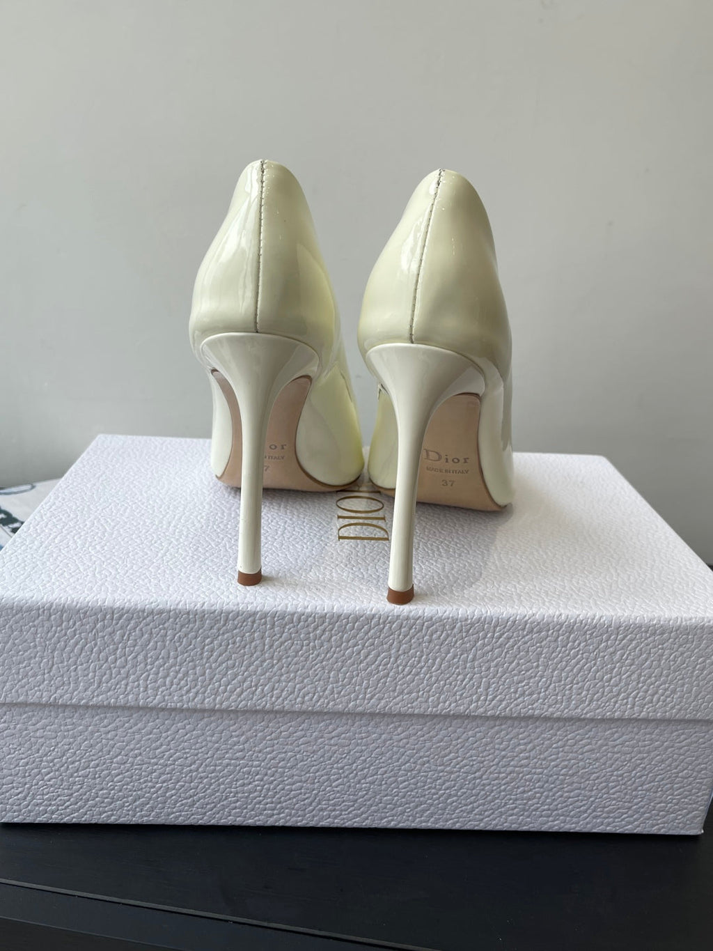 Dior Pointed High-Heel Pumps – 25SS Spring/Summer Collection