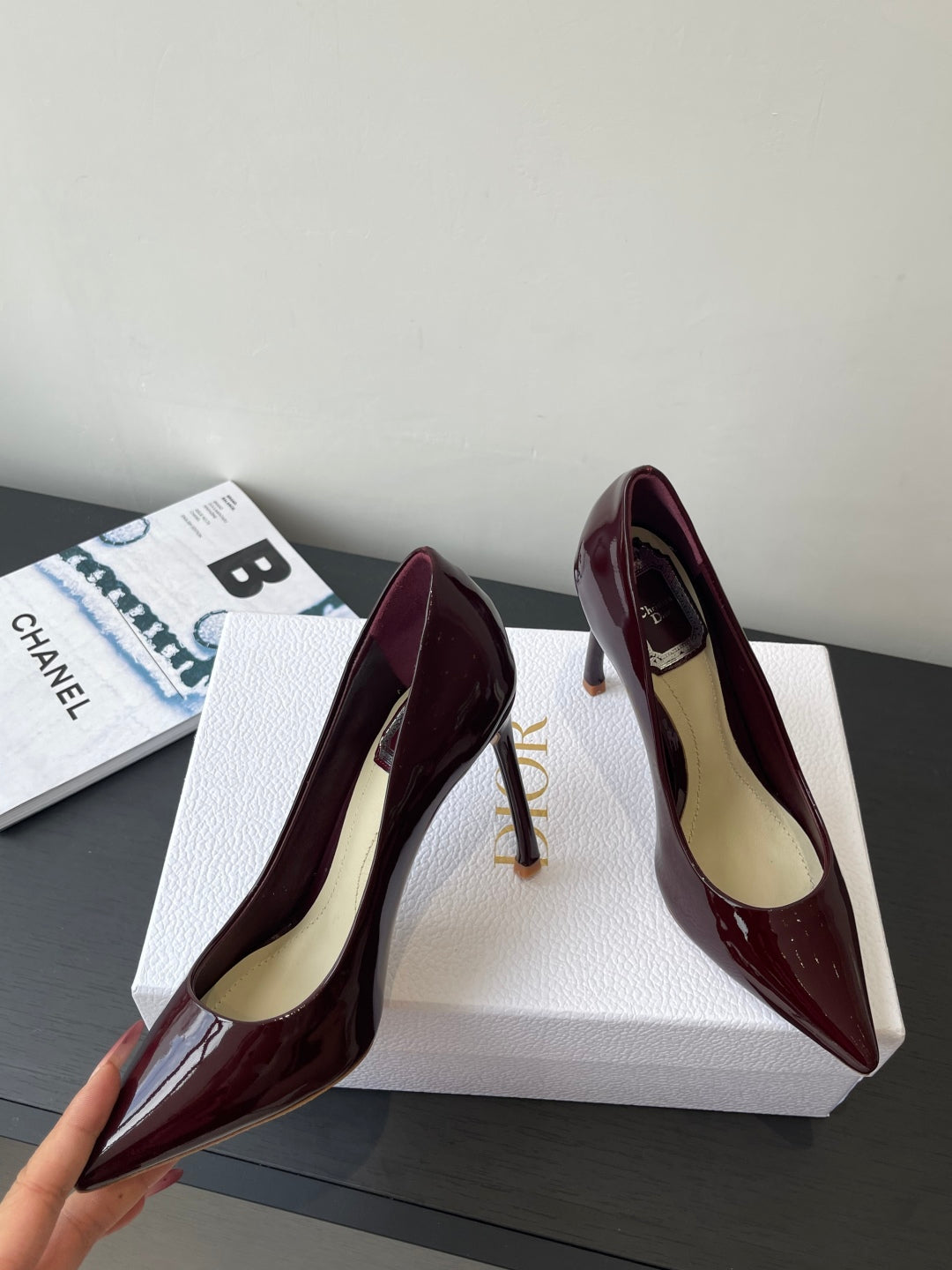 Dior Pointed High-Heel Pumps – 25SS Spring/Summer Collection