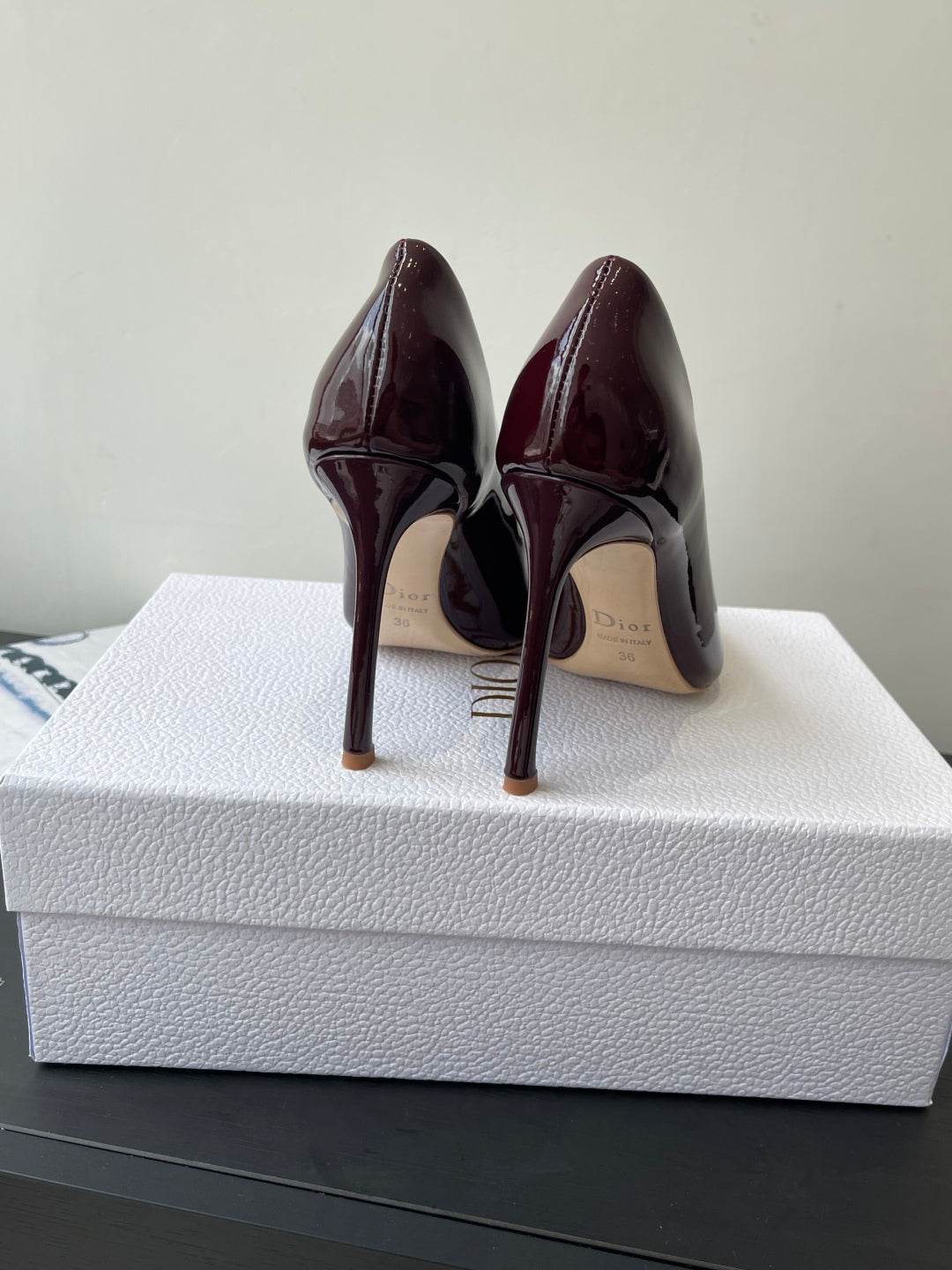 Dior Pointed High-Heel Pumps – 25SS Spring/Summer Collection