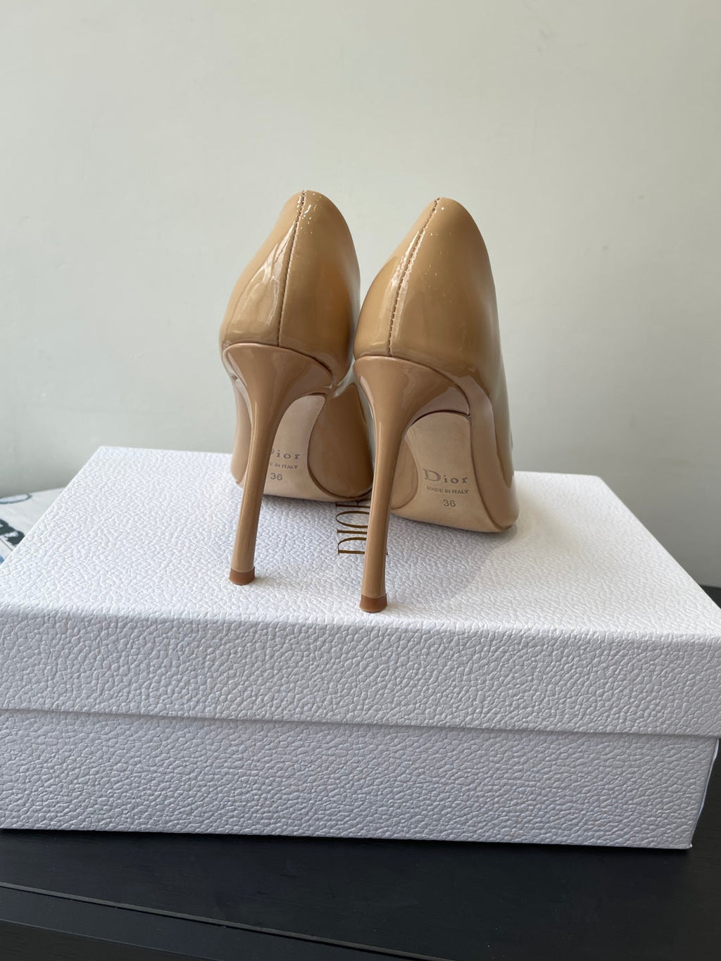 Dior Pointed High-Heel Pumps – 25SS Spring/Summer Collection