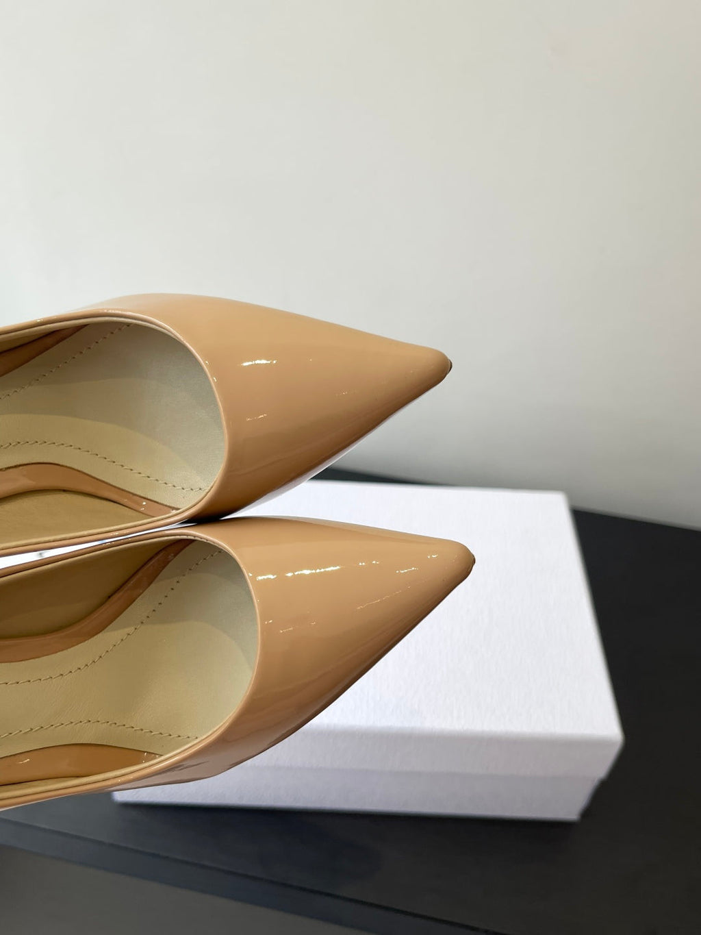 Dior Pointed High-Heel Pumps – 25SS Spring/Summer Collection