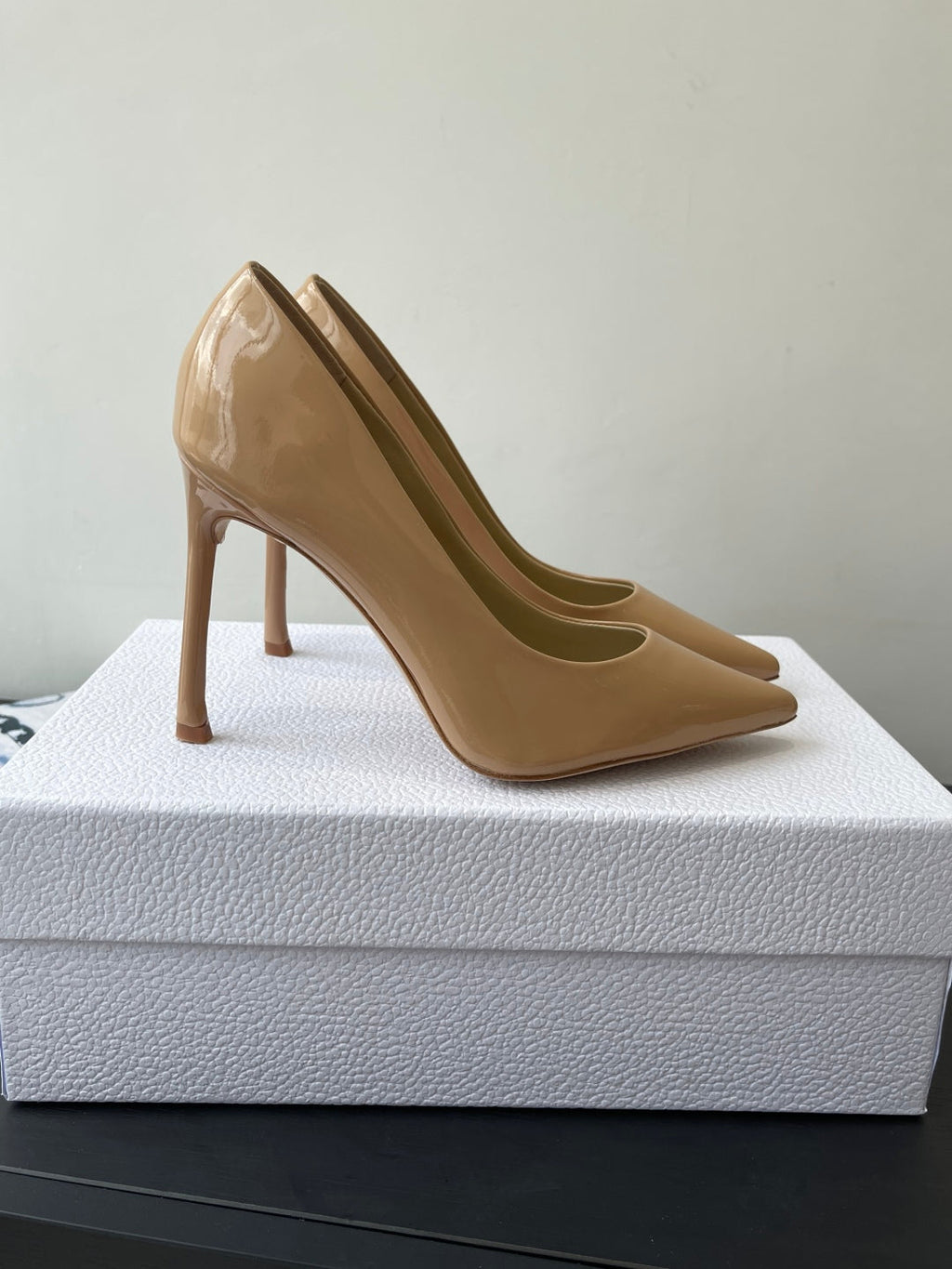 Dior Pointed High-Heel Pumps – 25SS Spring/Summer Collection