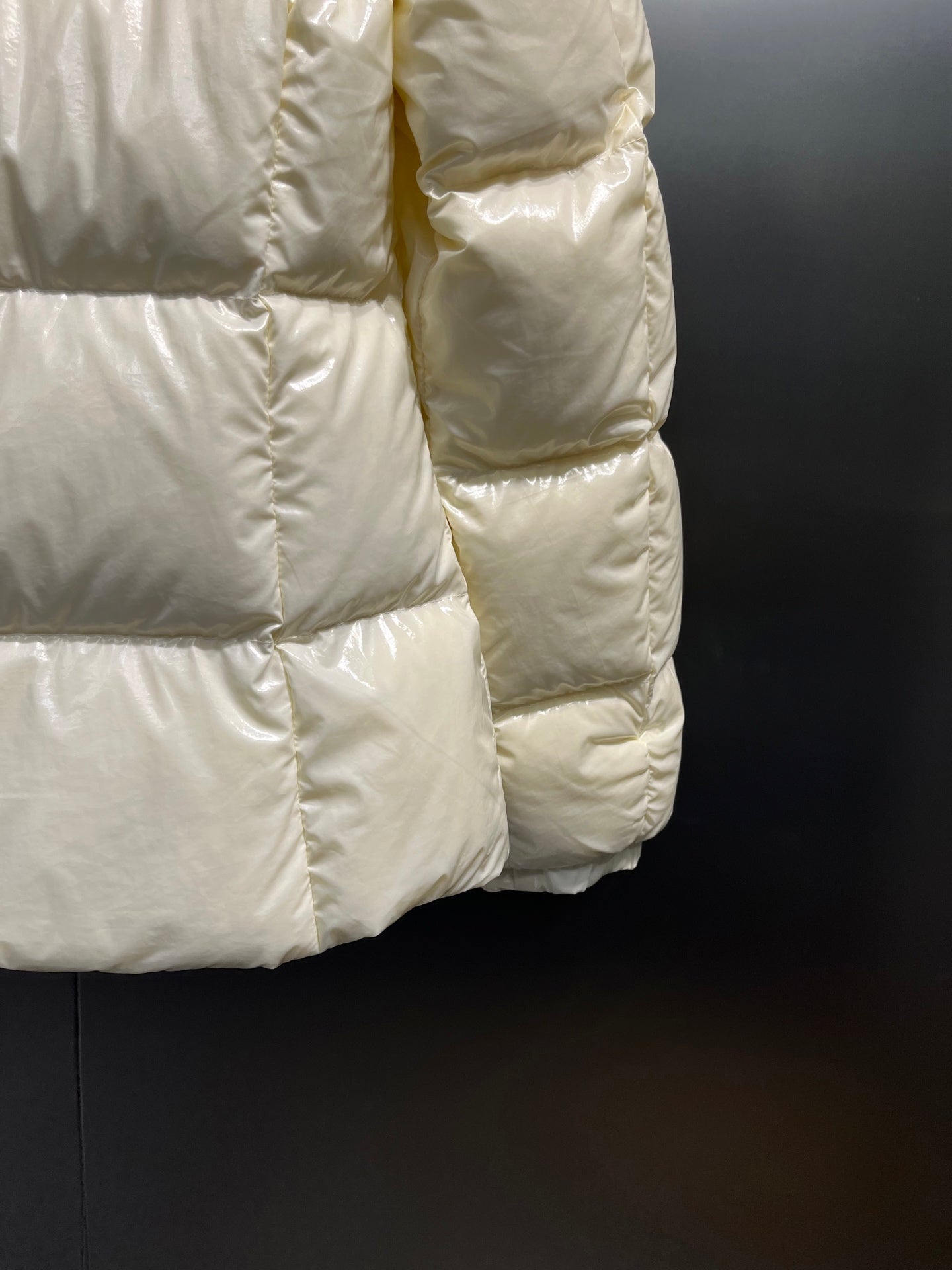 Moncler GLAREIN Hooded Down Jacket – 2025FW