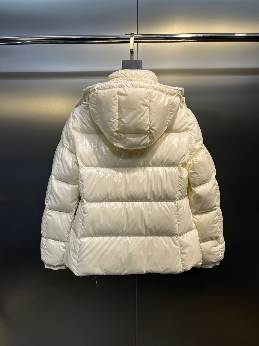 Moncler GLAREIN Hooded Down Jacket – 2025FW