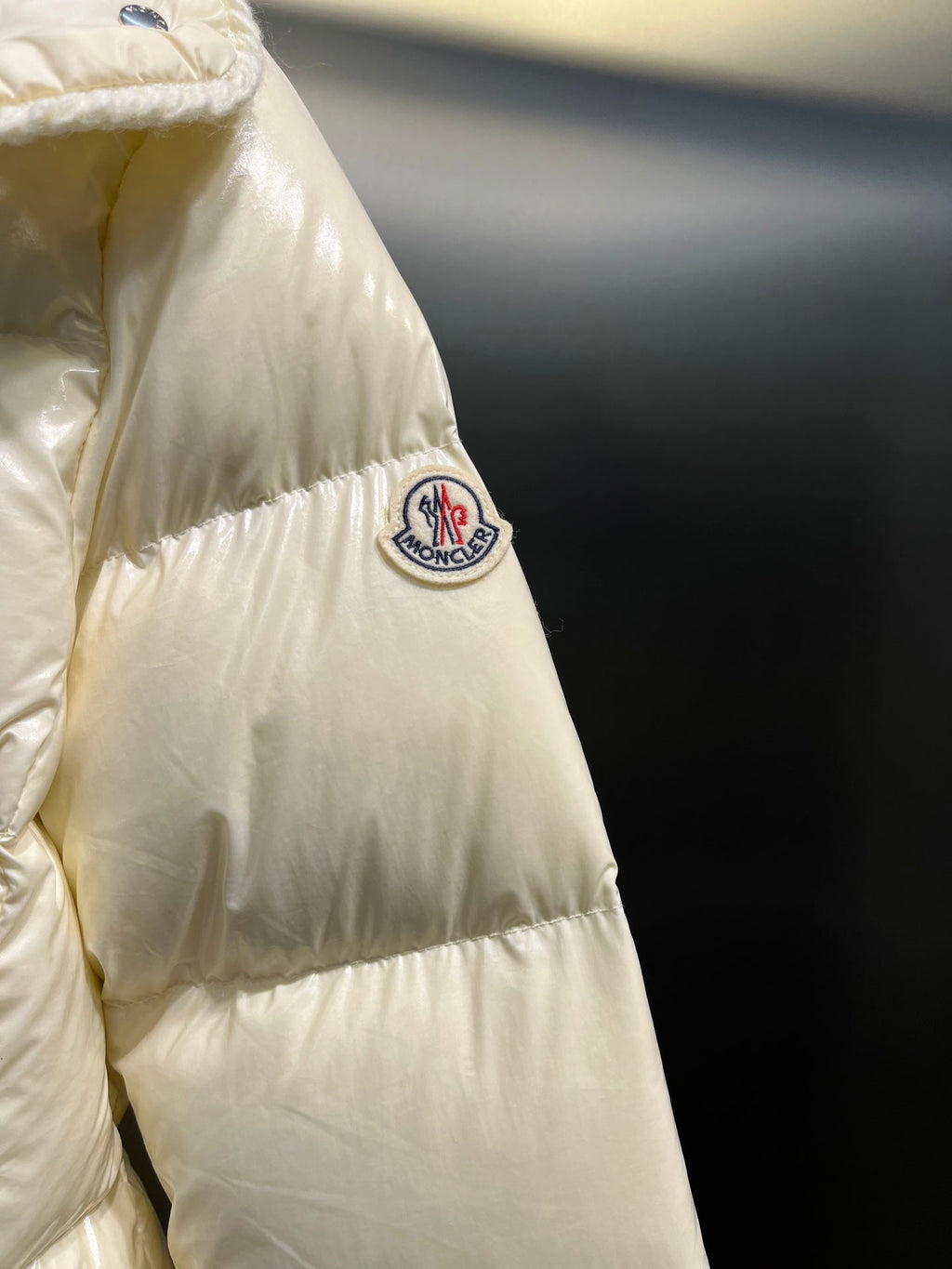 Moncler GLAREIN Hooded Down Jacket – 2025FW