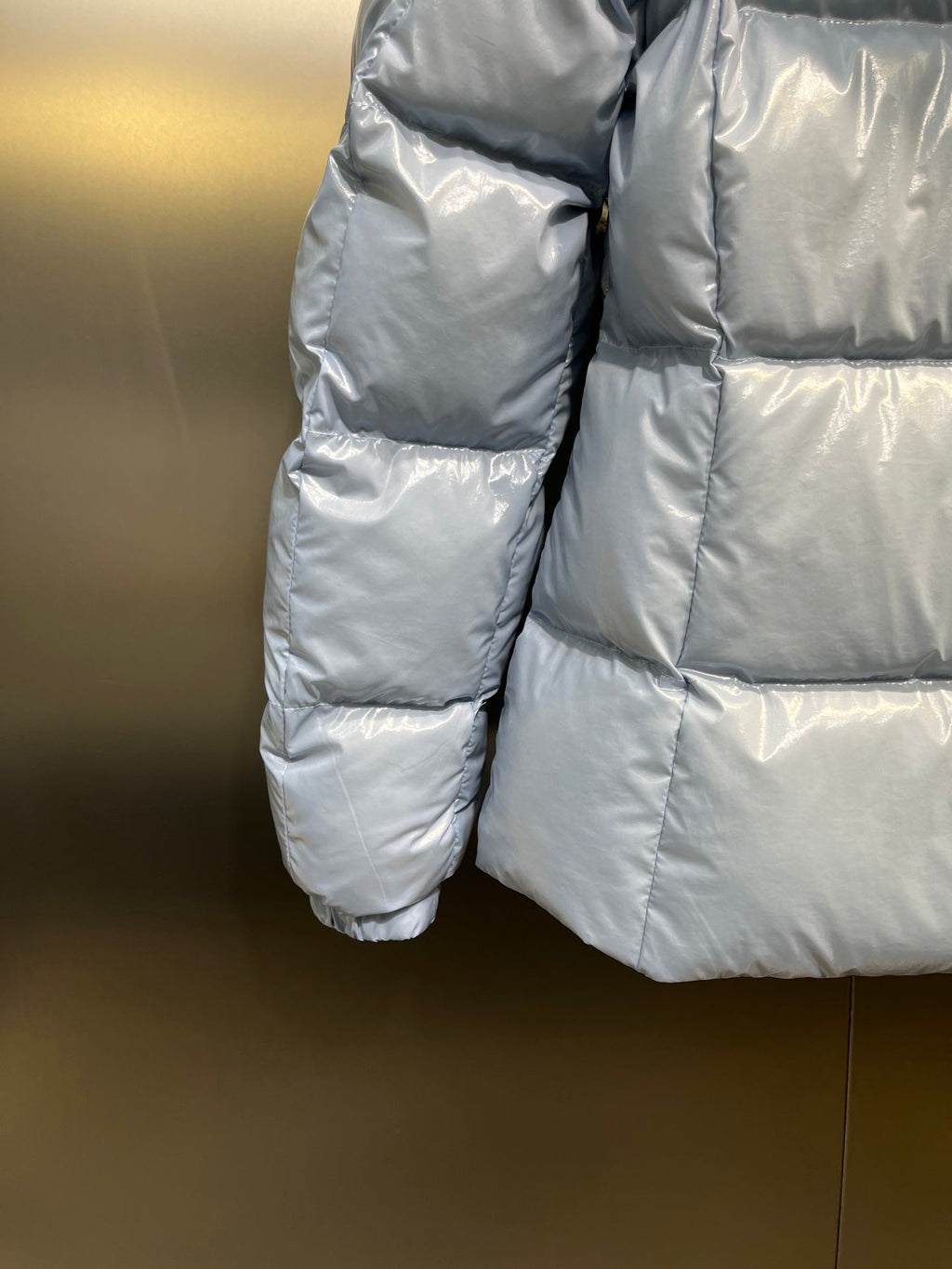 Moncler GLAREIN Hooded Down Jacket – 2025FW